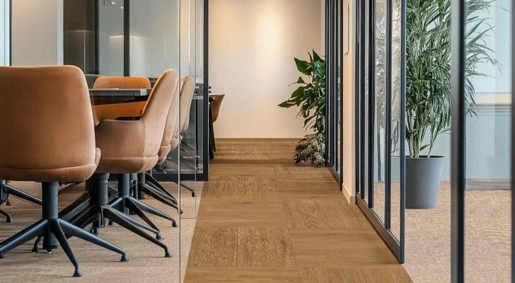 Dalma Grey_Gentleman grey _Saga 55