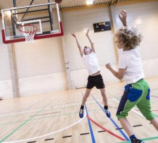 gerflor-header-sub-segment-sport-indoor