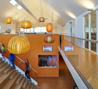 Basisschool Kleinerf - Gerflor Benelux