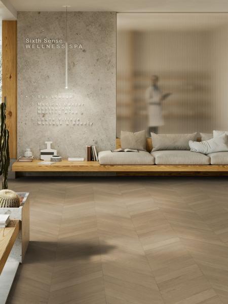 taralay initial compact