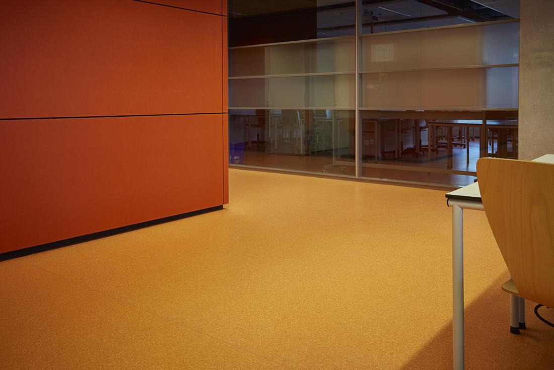 Deltion College - Gerflor Benelux