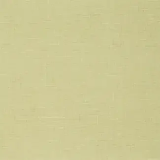 Taralay Impression - 1065 Finesse Paille