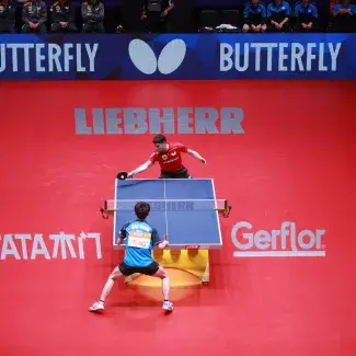 Taraflex Table Tennis - Room scene