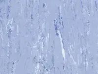 Medium Blue - scanmobile