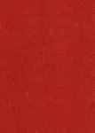 CHILI RED - COLOUR SCAN