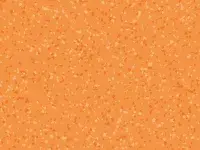 PREMIUM - 0052 BRAZILIA Olinda