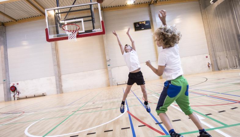 gerflor-header-sub-segment-sport-indoor